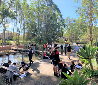 Yr11 Earthenviro Hero